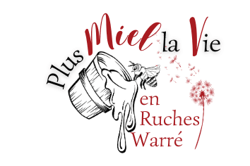 store_logo
