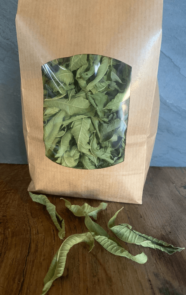 Verveine citronnée